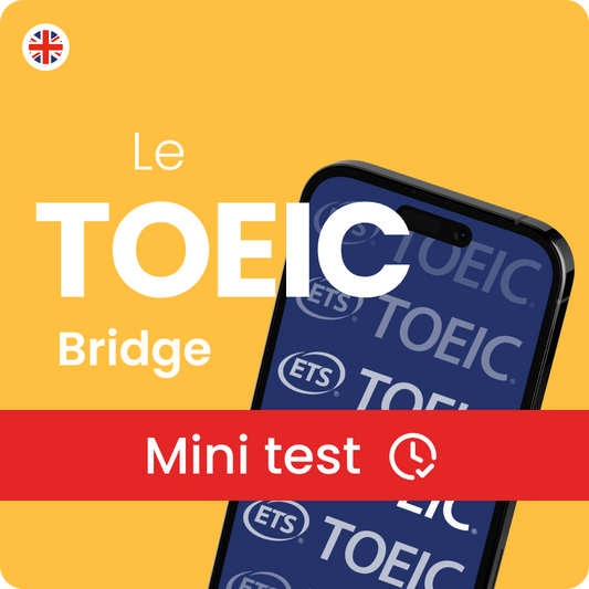 Mini-test TOEIC Bridge