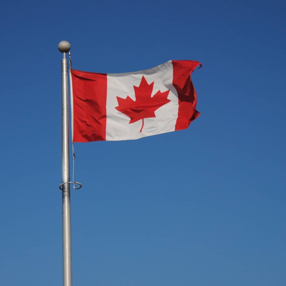 Candidat à l'immigration au Canada préparant son test de langue en ligne
